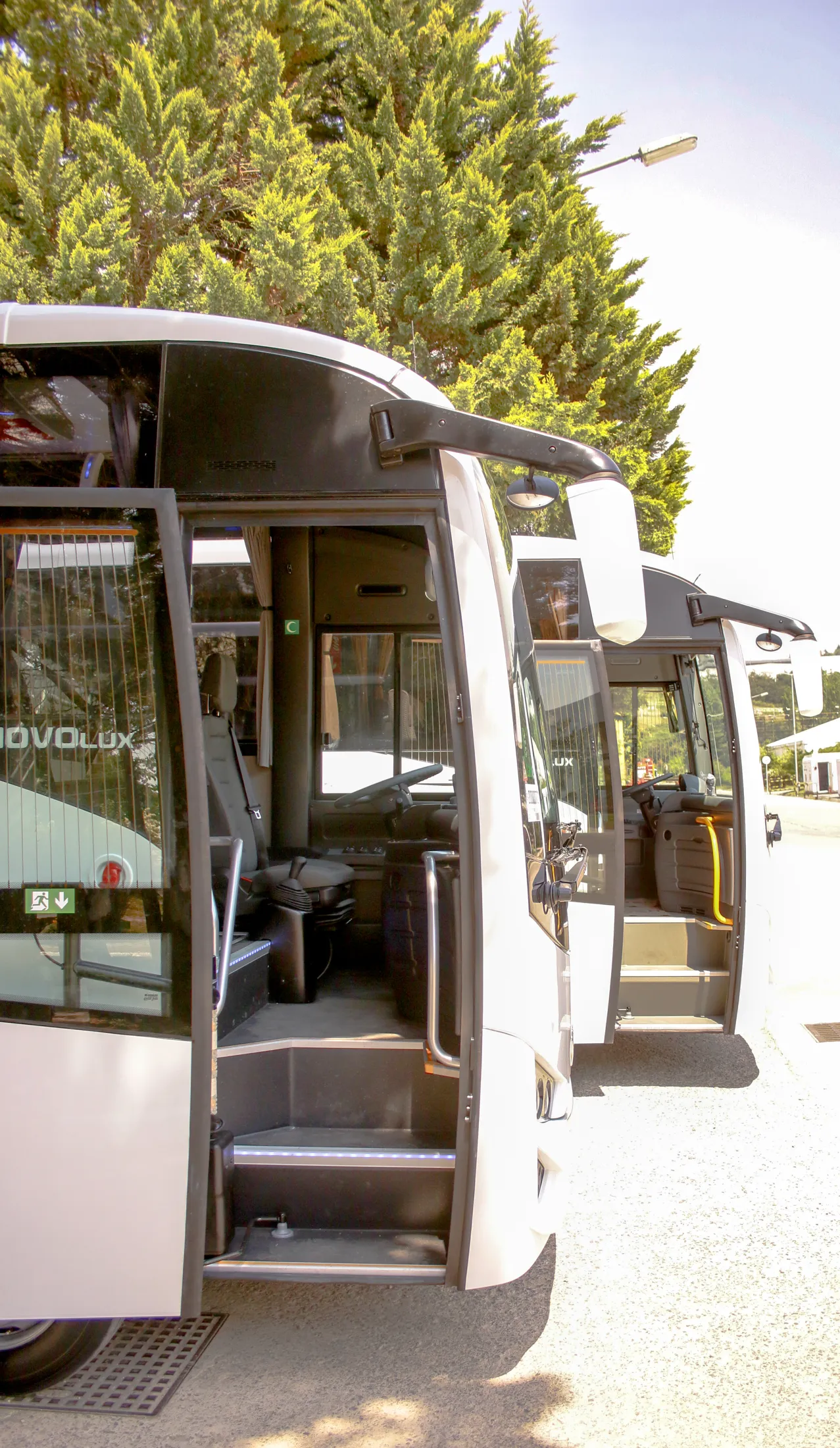Anadolu Isuzu Novo and Citivolt bus CMF