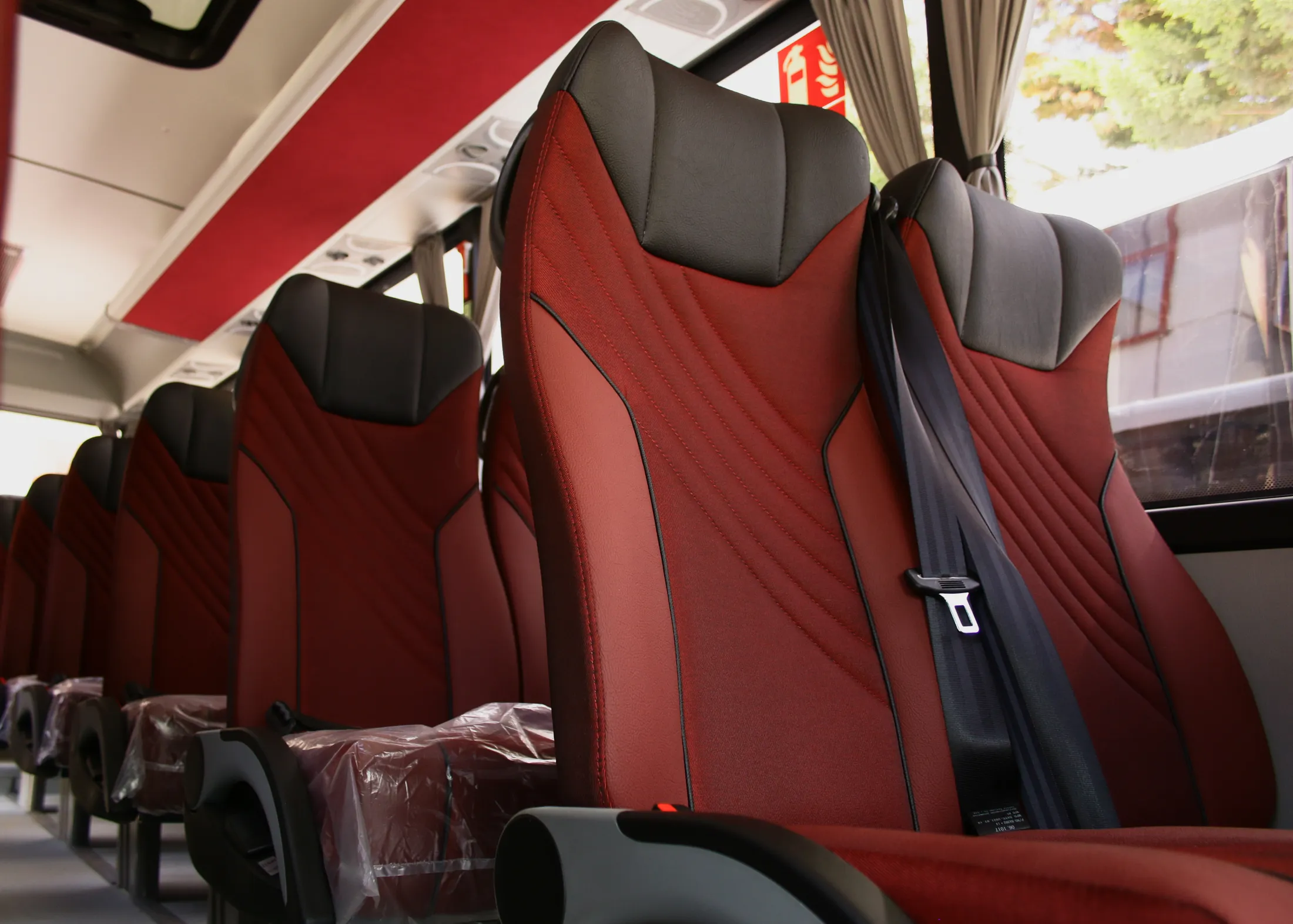 Anadolu Isuzu Novo and Citivolt bus CMF